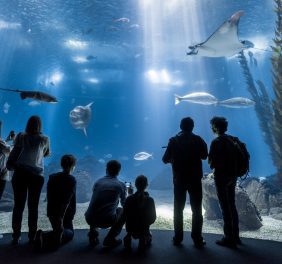 Oceanário de Lisboa