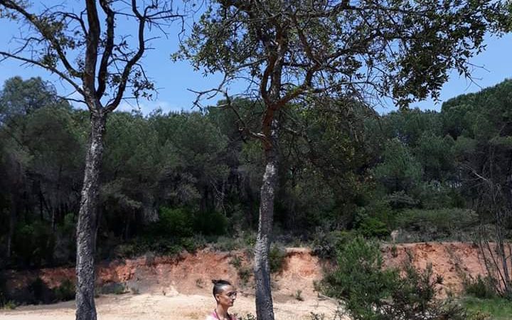 imagem não encontrada