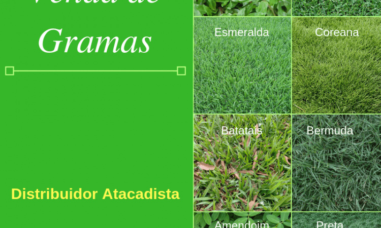 imagem não encontrada
