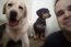 Dog Walker e Pet Sitter Uberaba