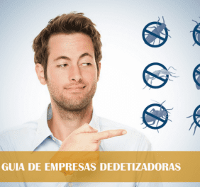Dedetização