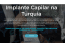 Implante Capilar