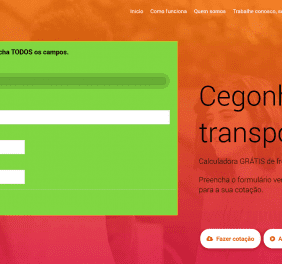 cegonha para carros