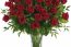 FLORICULTURA AMÉRICA