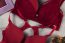Recriar Lingerie Plu size