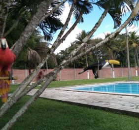 Clínica de Recuperação –...
