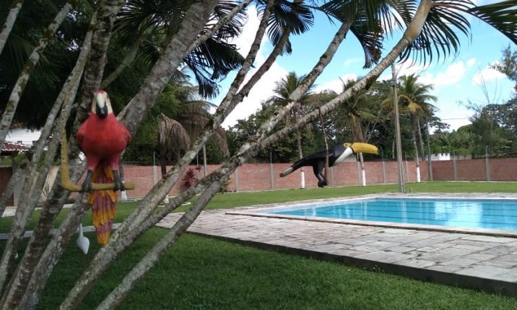 imagem não encontrada