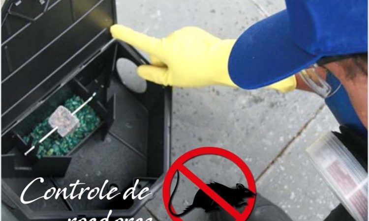 imagem não encontrada