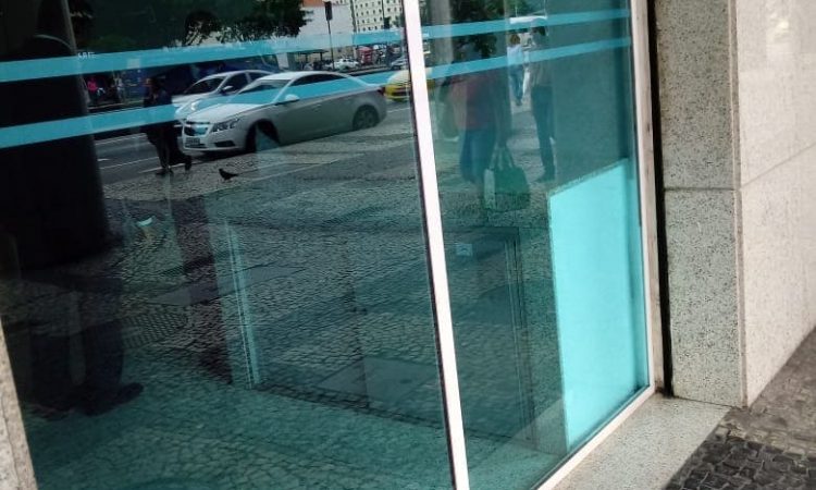 imagem não encontrada