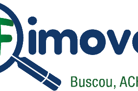 DFImoveis.com