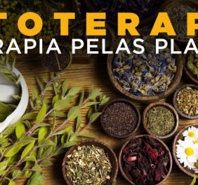 Fitoterapia Curso