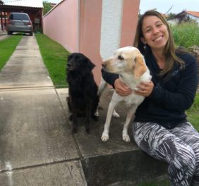 Dog Walker