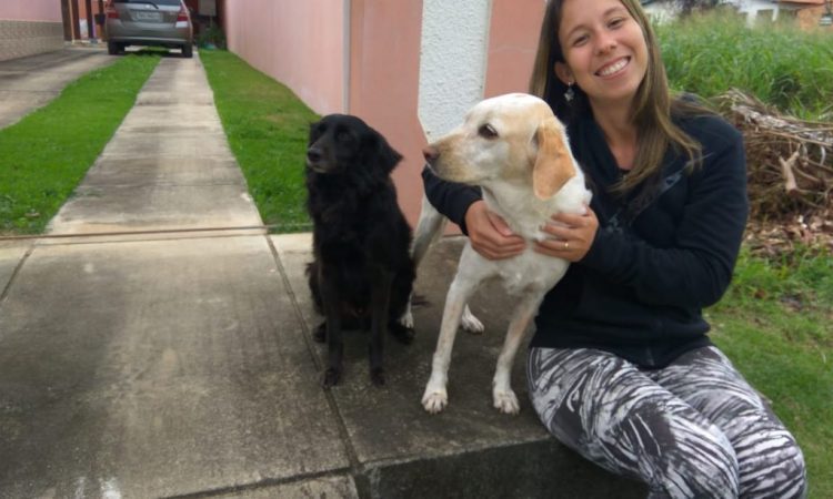 imagem não encontrada