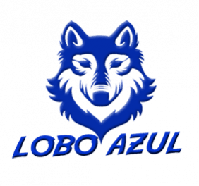 não encontrado