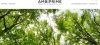 AmbiPrime – Consultoria ...