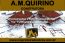 A.M.QUIRINO CONSTRUTORA   EMPR...