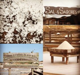 Sal & Sabores