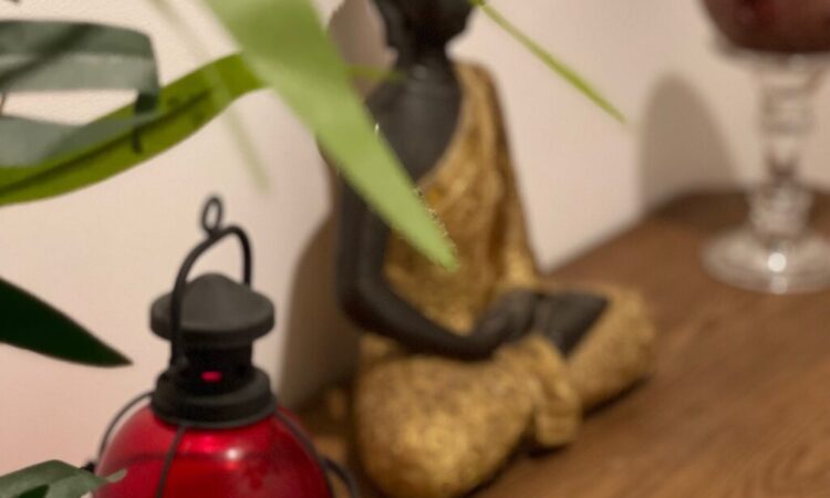 imagem não encontrada