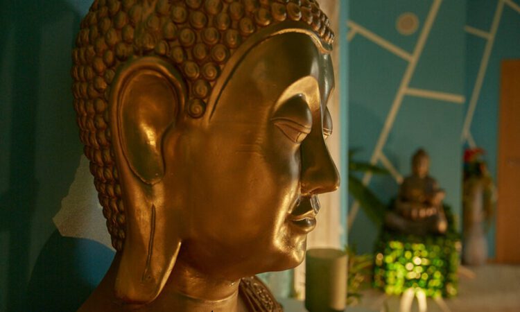 imagem não encontrada