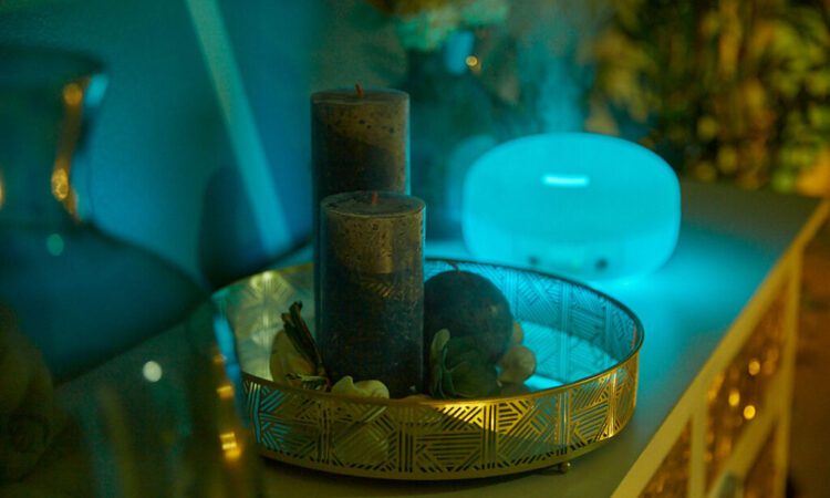 imagem não encontrada