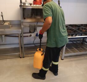 Rodox Detetizadora Serviços de...